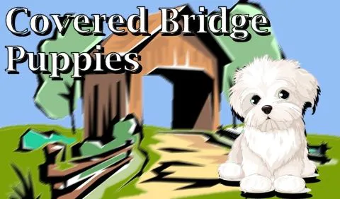 Covered Bridge Puppies